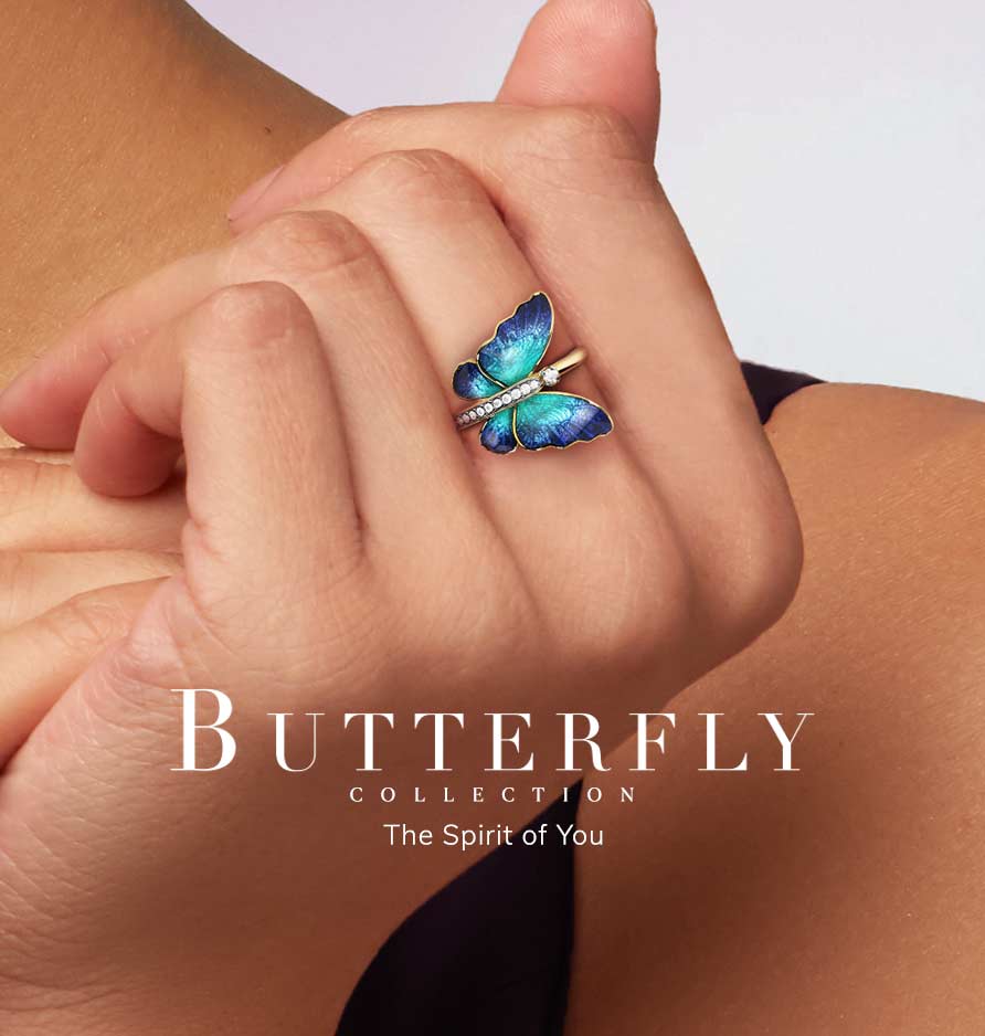 Butterfly collection banner