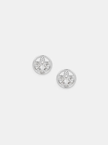 Signet Earrings in 925 Silver