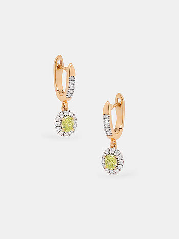 Zesty Earrings Crafted in 925 Silver