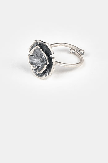 Push Forward Ring