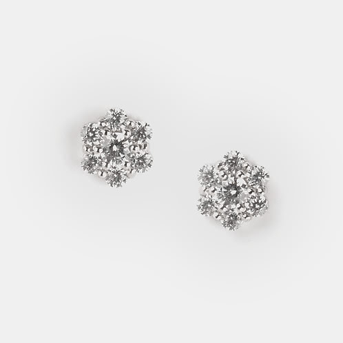 A Thousand Years Earrings in 925 Silver