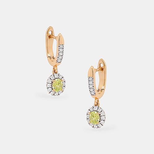 Zesty Earrings Crafted in 925 Silver