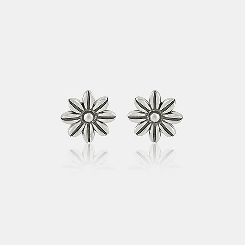 Sehaj Stud Earrings in 925 Silver