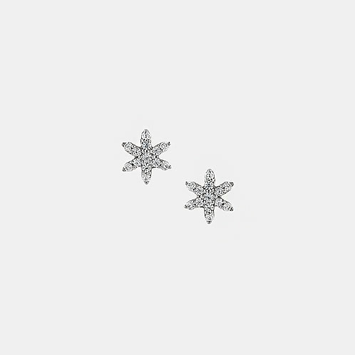 Frost Petal Studs Earrings in 925 Silver