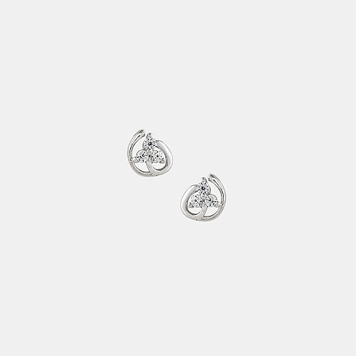 Eridanus Earrings in 925 Silver