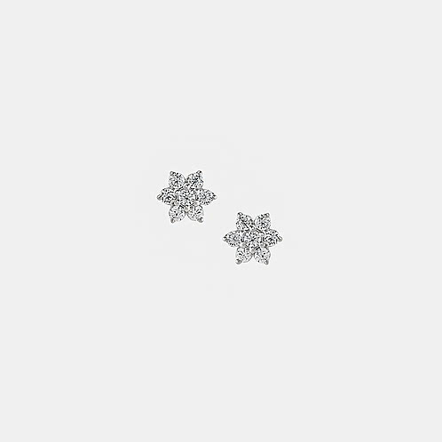 Spring Aster Studs Earrings in 925 Silver