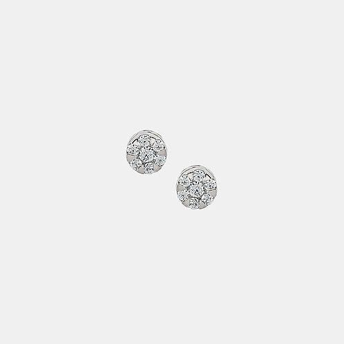 Luminous Studs Earrings in 925 Silver