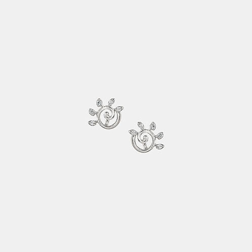 Curved Swirl Studs Earrings in 925 Silver