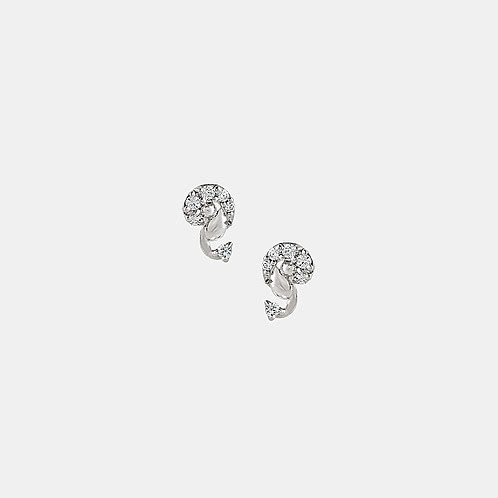Swan Earrings in 925 Silver