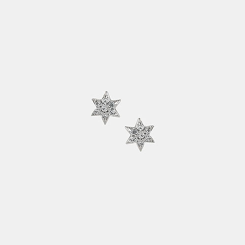Starlight Aster Earrings in 925 Silver 925 Silver