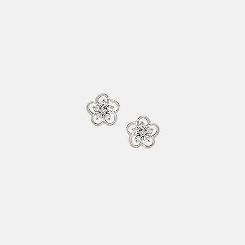 Flora Sunburst Studs Earrings in 925 Silver