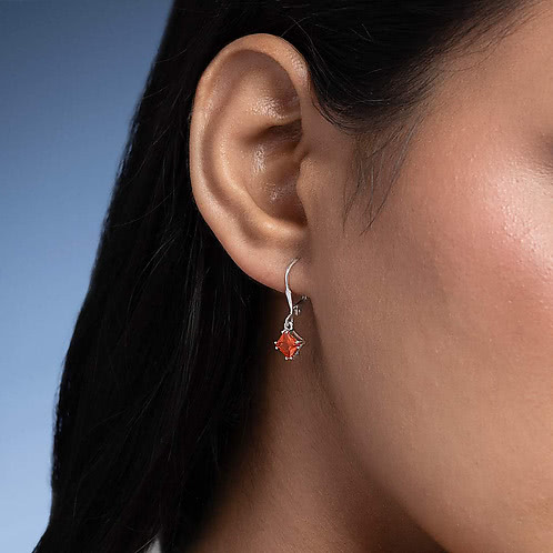 Dream Big Earrings in 925 Silver