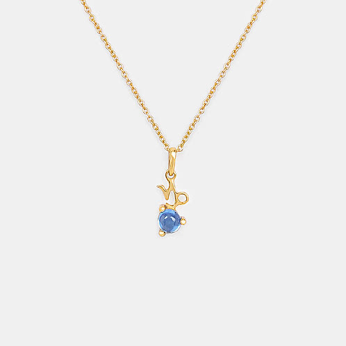 Capricorn Gold Plated 925 Silver Necklace