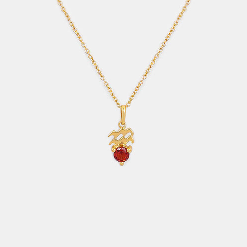 Aquarius Gold Plated 925 Silver Necklace