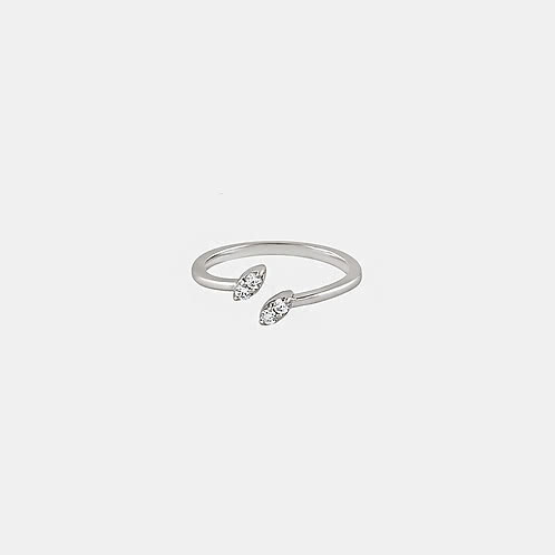 Procyon Ring in 925 Silver