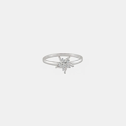 Merak Ring in 925 Silver