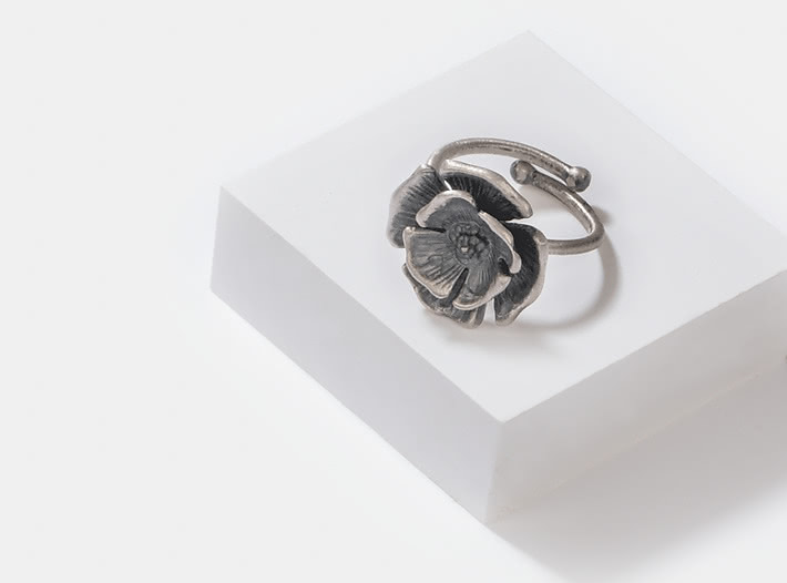 Push Forward Ring